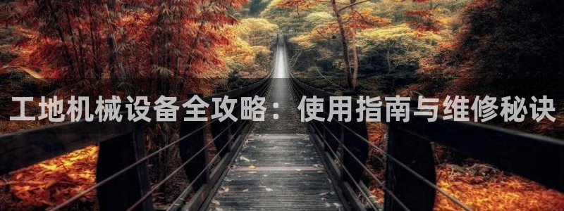 金年会金字招牌至上技术有限公司