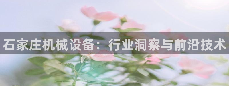 金年会网站洗黑钱