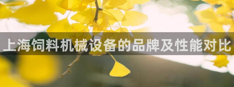 金年会电子游