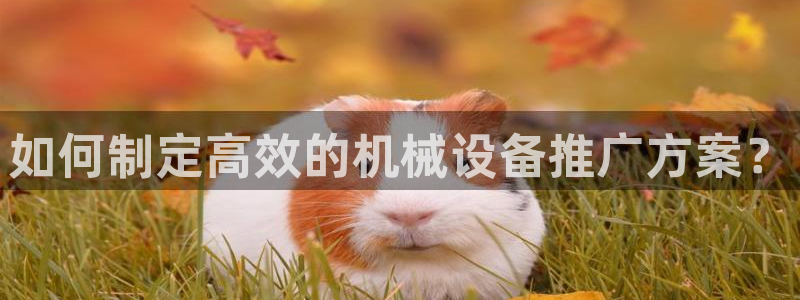 金年会电子游戏—2023全球木材与木制品大会