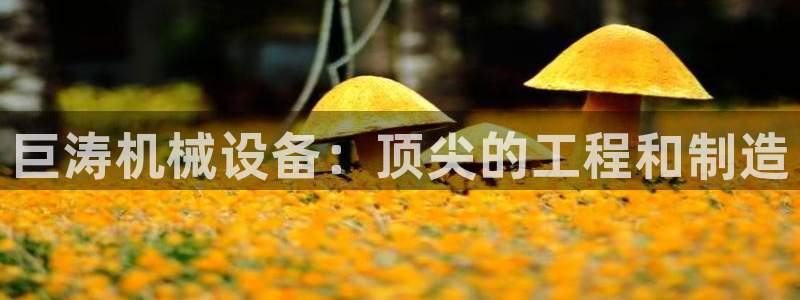 金年会App官方下载