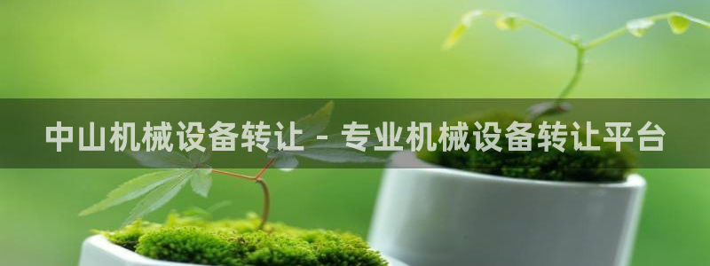 金年会金字招牌至上用了多少钱?