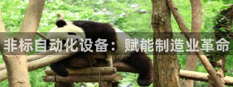 金年会官方在线入口网站2023