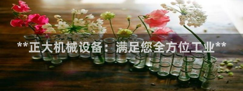 金年会app登录官网下载