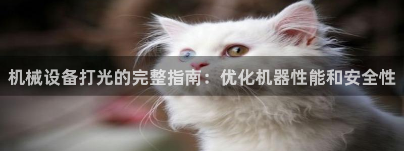 金年会体育信誉怎么样