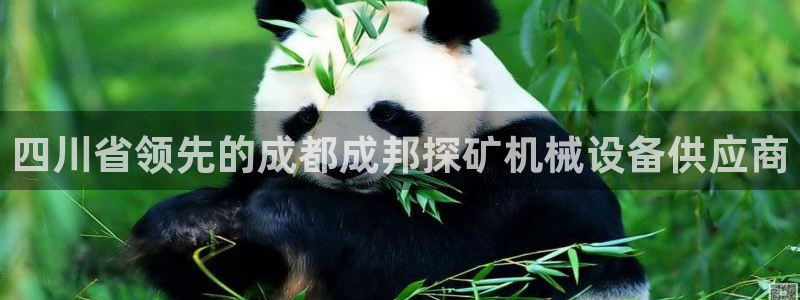 金年会体育app官网入口