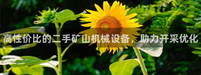 金年会平台官网登录