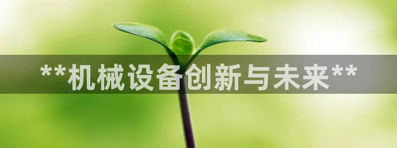 金年会官方入口APP