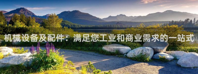 金年会体育app网页版官方入口
