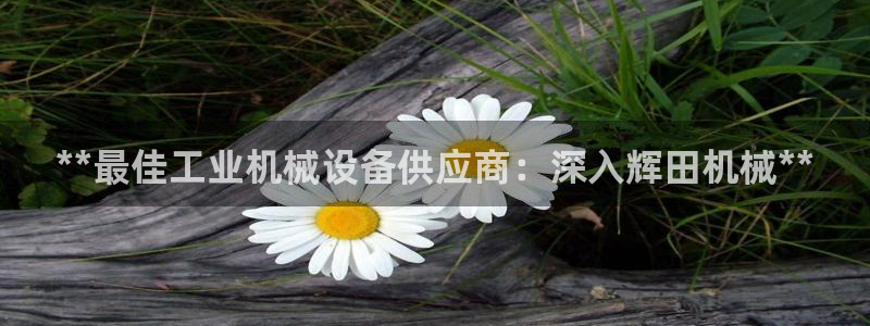 金年会网站入口登录