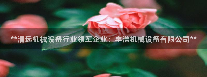 金年会体育是诈骗：**清远机械设备行业领军企业：丰浩机械设备有限公司**