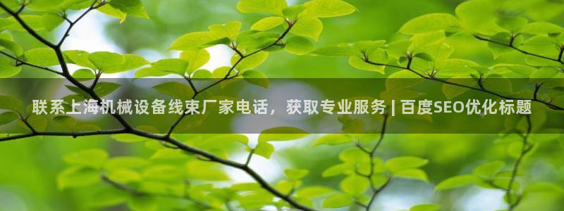 金年会体育隐藏入口：联系上海机械设备线束厂家电话，获取专业服务 | 百度SEO优化标题