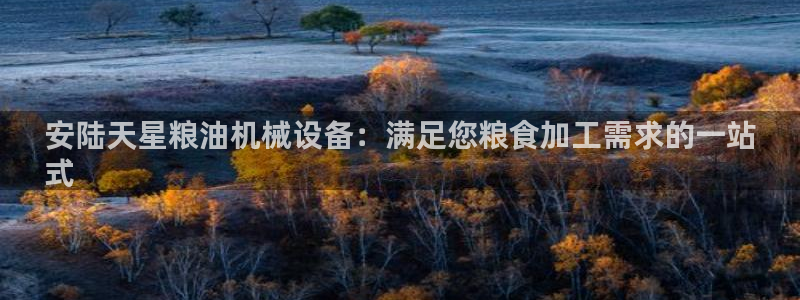 金年会手机版官方下载：安陆天星粮油机械设备：满足您粮食加工需求的一站
式