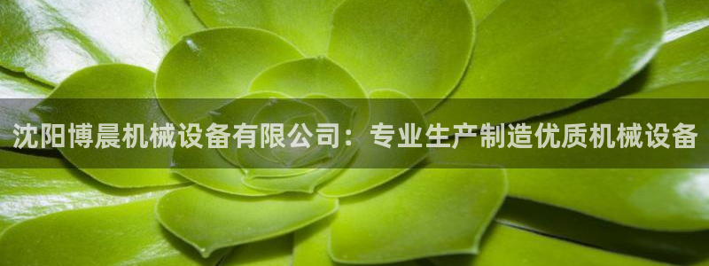 金年会金字招牌信誉至上365：沈阳博晨机械设备有限公司：专业生产制造优质机械设备