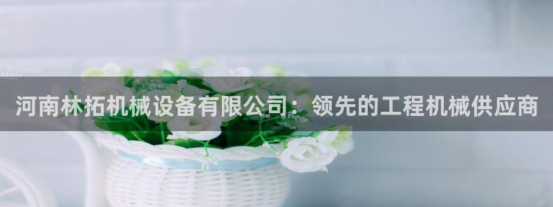 金年会体育官方app下载：河南林拓机械设备有限公司：领先的工程机械供应商