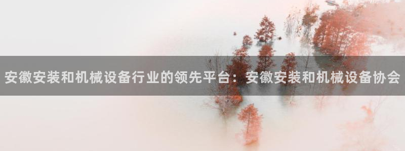 金年会体育app下载官网安卓：安徽安装和机械设备行业的领先平台：安徽安装和机械设备协会