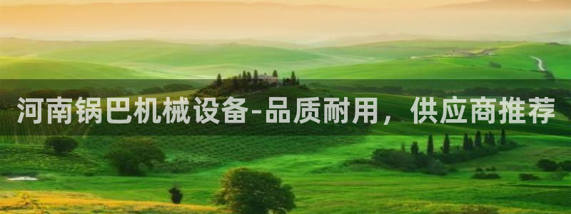 金年会登录网址：河南锅巴机械设备-品质耐用，供应商推荐