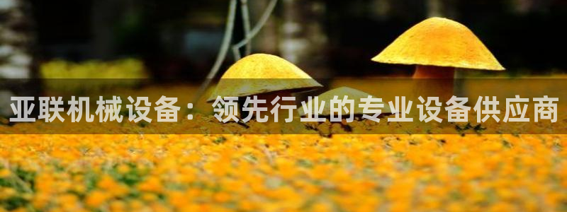 金年会官方网站入口登录网址是多少：亚联机械设备：领先行业的专业设备供应商