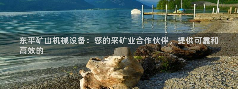 金年会官方网站入口：东平矿山机械设备：您的采矿业合作伙伴，提供可靠和
高效的