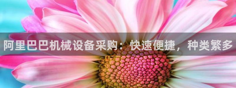 金年会官方网站入口登录网址是多少：阿里巴巴机械设备采购：快速便捷，种类繁多