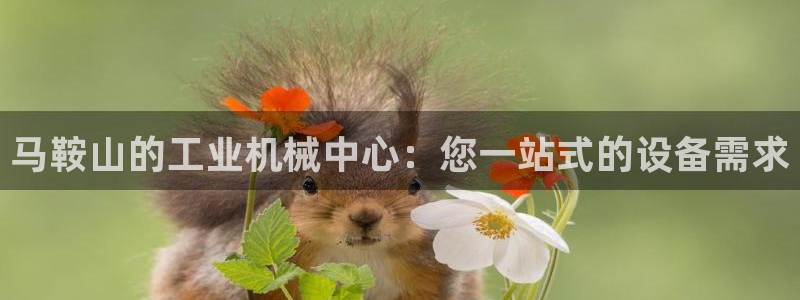 金年会官方登录网址：